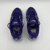 Nike Mens Sz 10.5 KD16 TB P Court Purple/White Basketball Sports NBA FN7091 500