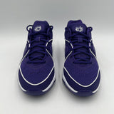 Nike Mens Sz 10.5 KD16 TB P Court Purple/White Basketball Sports NBA FN7091 500