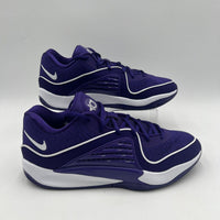 Nike Mens Sz 10.5 KD16 TB P Court Purple/White Basketball Sports NBA FN7091 500