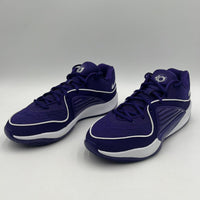 Nike Mens Sz 10.5 KD16 TB P Court Purple/White Basketball Sports NBA FN7091 500